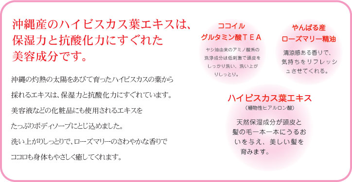 ハイビスカス葉エキスは、保湿力と抗酸化力にすぐれた美容成分です