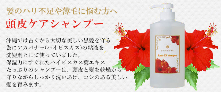 パダームのラピスEXシャンプー